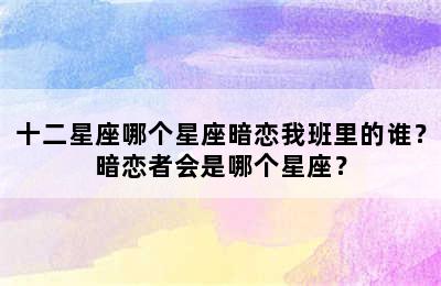 十二星座哪个星座暗恋我班里的谁？暗恋者会是哪个星座？