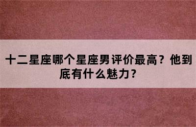 十二星座哪个星座男评价最高？他到底有什么魅力？