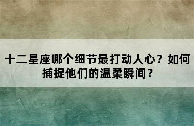 十二星座哪个细节最打动人心？如何捕捉他们的温柔瞬间？