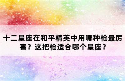 十二星座在和平精英中用哪种枪最厉害？这把枪适合哪个星座？