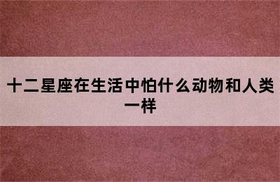 十二星座在生活中怕什么动物和人类一样