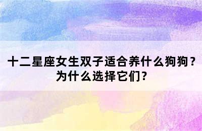 十二星座女生双子适合养什么狗狗？为什么选择它们？