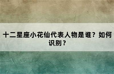 十二星座小花仙代表人物是谁？如何识别？