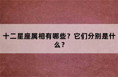 十二星座属相有哪些？它们分别是什么？