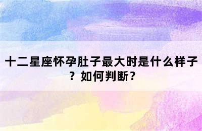 十二星座怀孕肚子最大时是什么样子？如何判断？
