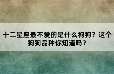 十二星座最不爱的是什么狗狗？这个狗狗品种你知道吗？