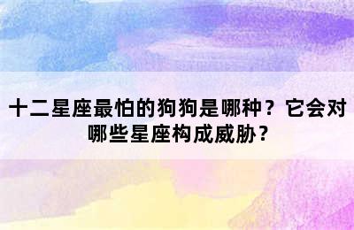 十二星座最怕的狗狗是哪种？它会对哪些星座构成威胁？