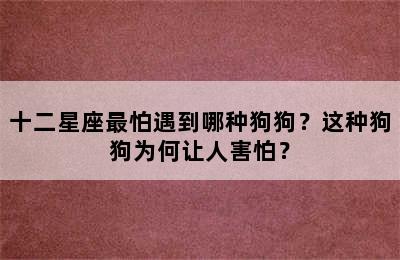 十二星座最怕遇到哪种狗狗？这种狗狗为何让人害怕？