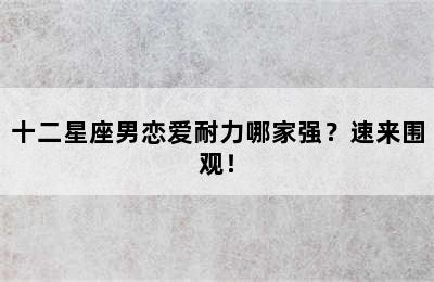 十二星座男恋爱耐力哪家强？速来围观！