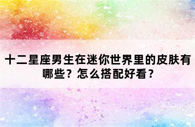 十二星座男生在迷你世界里的皮肤有哪些？怎么搭配好看？