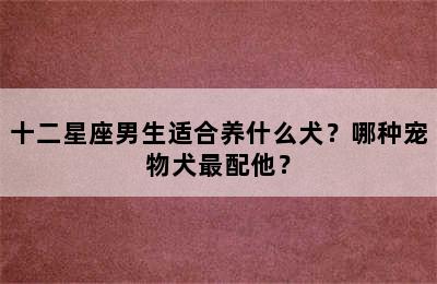 十二星座男生适合养什么犬？哪种宠物犬最配他？