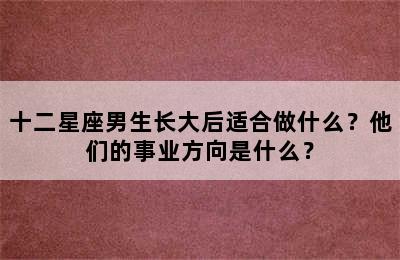 十二星座男生长大后适合做什么？他们的事业方向是什么？