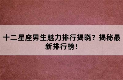 十二星座男生魅力排行揭晓？揭秘最新排行榜！