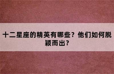 十二星座的精英有哪些？他们如何脱颖而出？