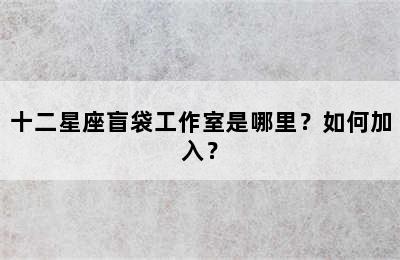 十二星座盲袋工作室是哪里？如何加入？