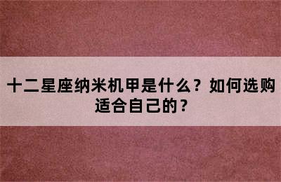 十二星座纳米机甲是什么？如何选购适合自己的？