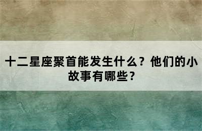 十二星座聚首能发生什么？他们的小故事有哪些？