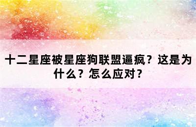 十二星座被星座狗联盟逼疯？这是为什么？怎么应对？