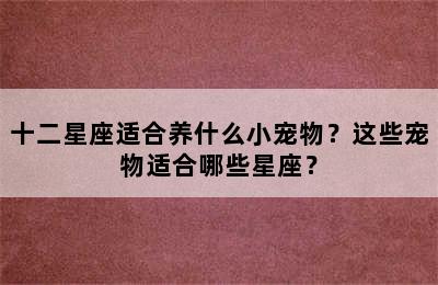 十二星座适合养什么小宠物？这些宠物适合哪些星座？