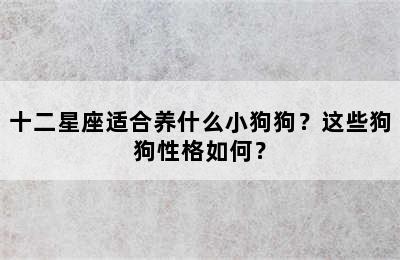 十二星座适合养什么小狗狗？这些狗狗性格如何？