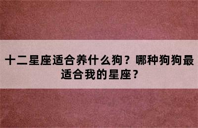 十二星座适合养什么狗？哪种狗狗最适合我的星座？