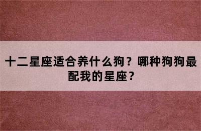 十二星座适合养什么狗？哪种狗狗最配我的星座？
