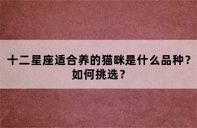 十二星座适合养的猫咪是什么品种？如何挑选？