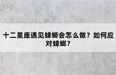 十二星座遇见蟑螂会怎么做？如何应对蟑螂？