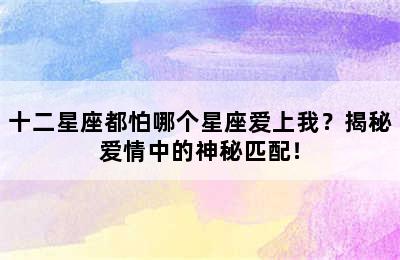 十二星座都怕哪个星座爱上我？揭秘爱情中的神秘匹配！