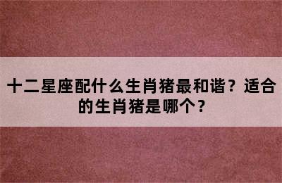 十二星座配什么生肖猪最和谐？适合的生肖猪是哪个？