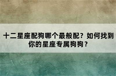 十二星座配狗哪个最般配？如何找到你的星座专属狗狗？