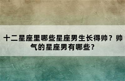 十二星座里哪些星座男生长得帅？帅气的星座男有哪些？