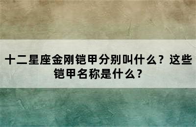 十二星座金刚铠甲分别叫什么？这些铠甲名称是什么？