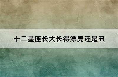 十二星座长大长得漂亮还是丑