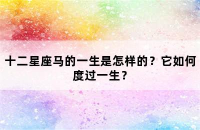 十二星座马的一生是怎样的？它如何度过一生？
