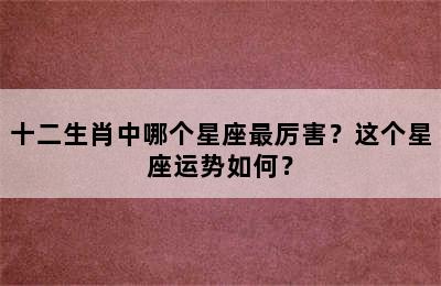十二生肖中哪个星座最厉害？这个星座运势如何？