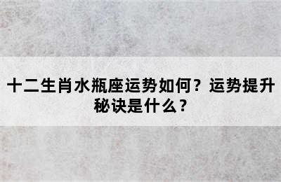 十二生肖水瓶座运势如何？运势提升秘诀是什么？
