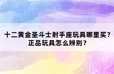 十二黄金圣斗士射手座玩具哪里买？正品玩具怎么辨别？