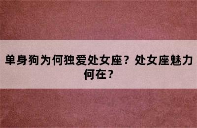 单身狗为何独爱处女座？处女座魅力何在？