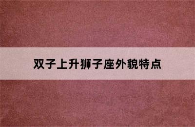 双子上升狮子座外貌特点