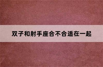 双子和射手座合不合适在一起