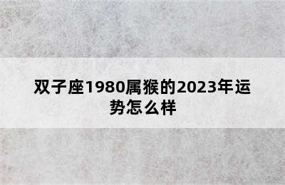 双子座1980属猴的2023年运势怎么样