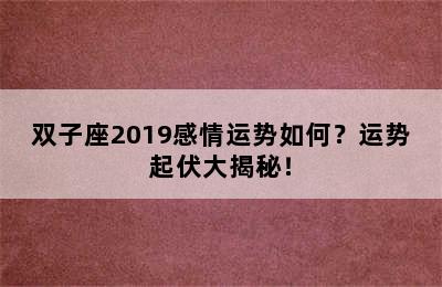 双子座2019感情运势如何？运势起伏大揭秘！