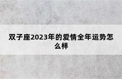 双子座2023年的爱情全年运势怎么样