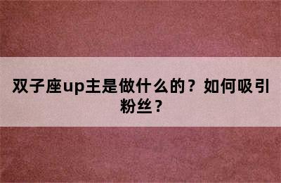双子座up主是做什么的？如何吸引粉丝？