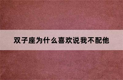 双子座为什么喜欢说我不配他