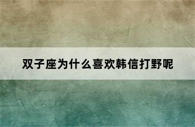 双子座为什么喜欢韩信打野呢