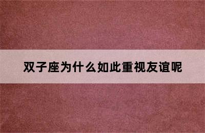 双子座为什么如此重视友谊呢