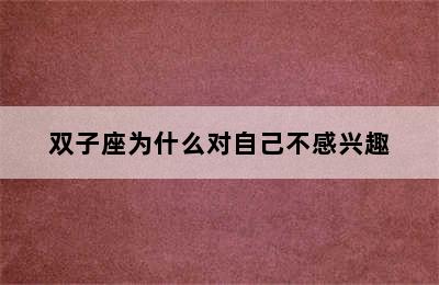 双子座为什么对自己不感兴趣