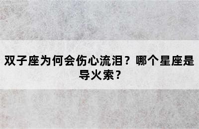 双子座为何会伤心流泪？哪个星座是导火索？